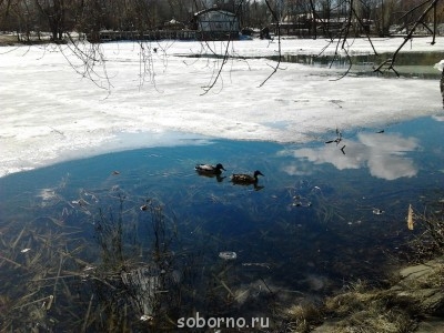 Каждая погода - благодать... - Фото1611.jpg