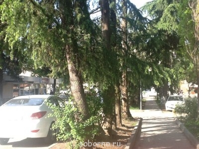 Каждая погода - благодать... - image.jpg