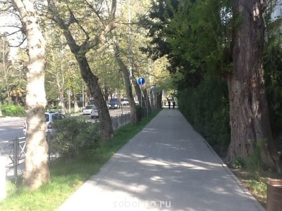 Каждая погода - благодать... - image.jpg