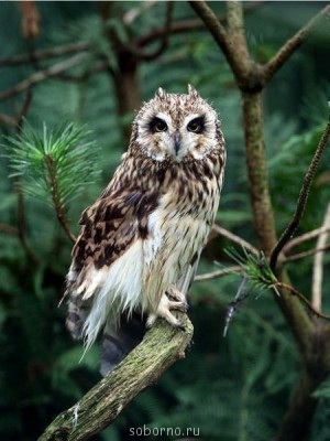 Добрые картинки - O7I3kj8NNuE.jpg