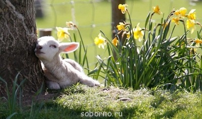 Добрые картинки - kzVwFKWS80w.jpg