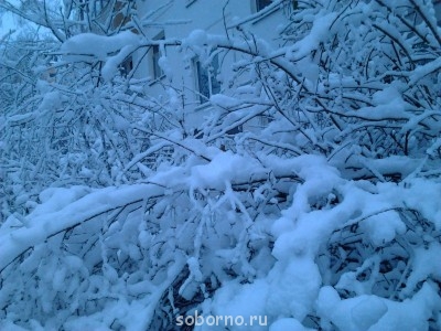 Каждая погода - благодать... - Фото1625.jpg