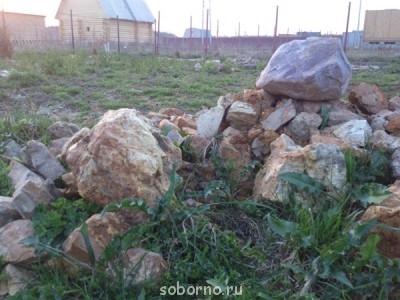 Наша дача и приусадебный участок - DSC_1444.jpg