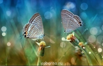 Добрые картинки - image.jpg