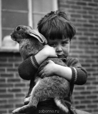 Добрые картинки - image.jpg