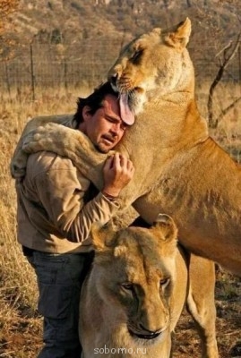 Эти чуть побольше)))