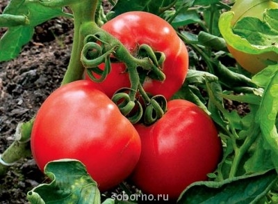 Просто интересное - image.jpg