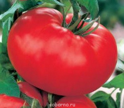 Просто интересное - image.jpg