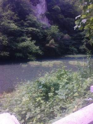 АБХАЗИЯ. НОВЫЙ АФОН - 20140523-033.jpeg