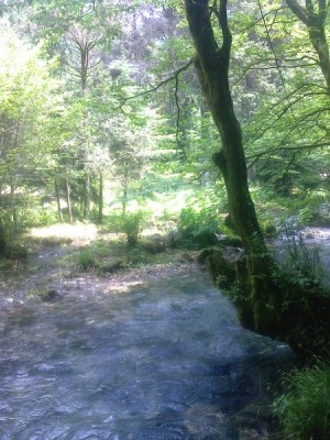 АБХАЗИЯ. НОВЫЙ АФОН - 20140523-040.jpeg