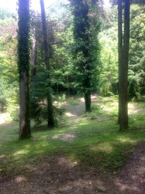 АБХАЗИЯ. НОВЫЙ АФОН - 20140523-043.jpeg