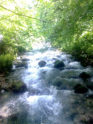 АБХАЗИЯ. НОВЫЙ АФОН - 20140523-042.jpeg