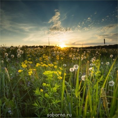 Доброе утро и Спокойной ночи  - 2291428.jpg