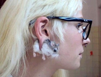 Странные поступки или палата 6 - getImage1.jpeg