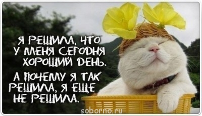 Они такие забавные смешные фото и видео  - image.jpg