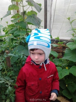 Наша дача и приусадебный участок - Фото1781.jpg