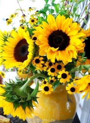 Молитва о здравии - 2 - image.jpg