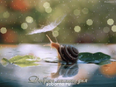 Доброе утро и Спокойной ночи  - 4423716-ff62e2ed5ce84c11.gif