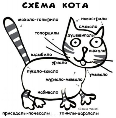Кошки - очарование МОЁ - shema-kota.jpg