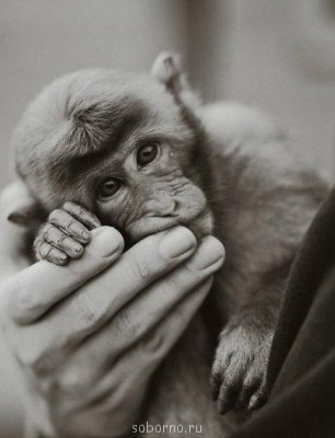 Добрые картинки - image.jpg