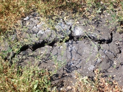 Каждая погода - благодать... - S6000201.jpg