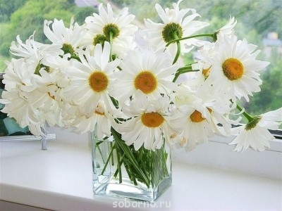 Фуршет по поводу  - image.jpg