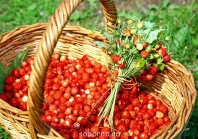 Удивило поведение священника - image.jpg