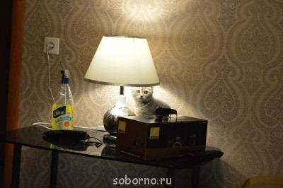 январь, греется под лампой, 4 мес.