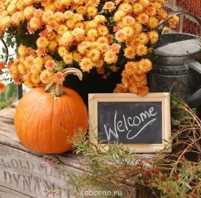 Доброе утро и Спокойной ночи  - tS4mq7v4WqA.jpg