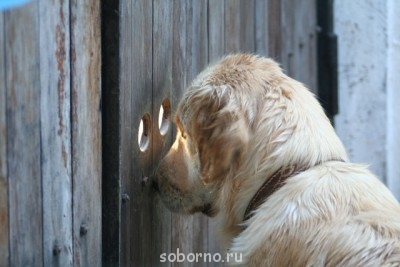 Добрые картинки - b_3vjYw9aE8.jpg