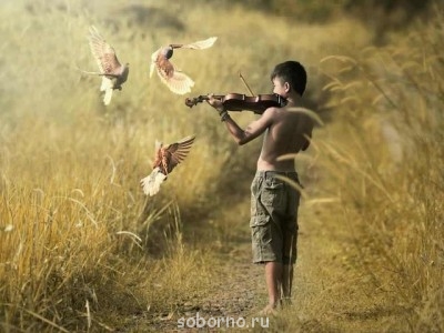 Добрые картинки - image (1).jpg