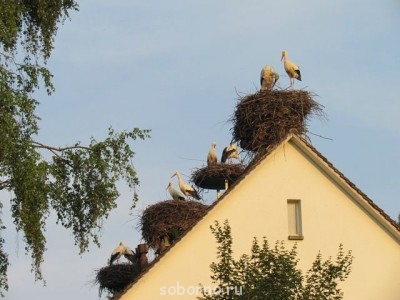 Добрые картинки - image.jpg