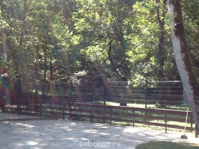 Доброе утро и Спокойной ночи  - image.jpg