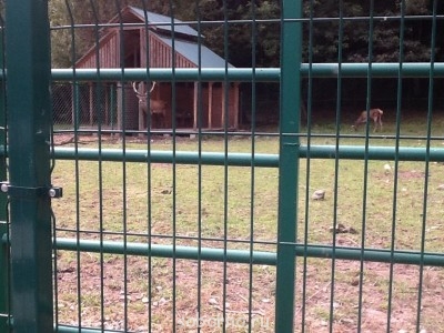 И сам герой....