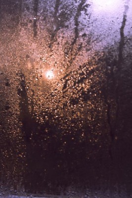 Доброе утро и Спокойной ночи  - IMG_1466.JPG