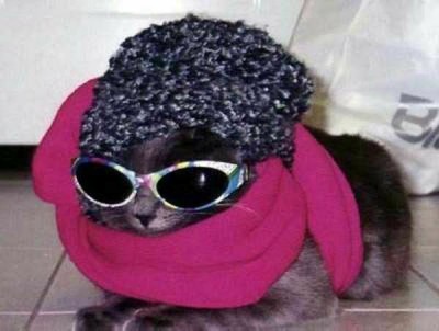 Они такие забавные смешные фото и видео  - зимовку.jpg