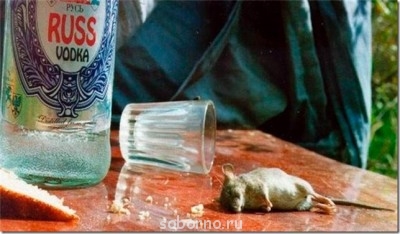 С улыбкой о многом =  - 098_3.jpg