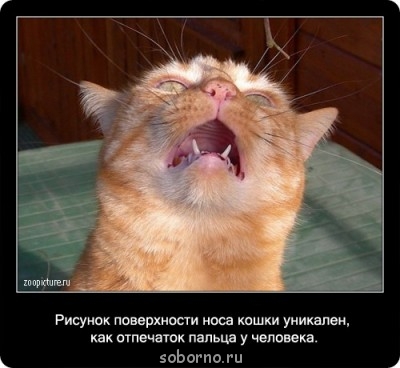 Это интересно - 600.jpg