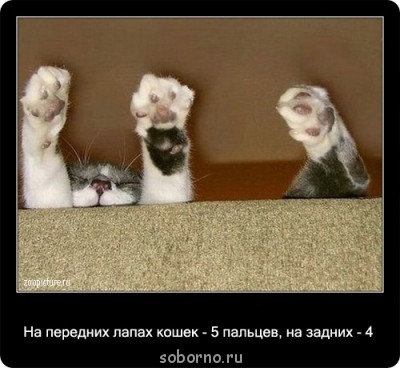 Это интересно - 99031551_27.jpg