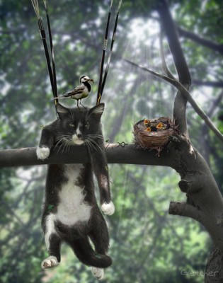 Они такие забавные смешные фото и видео  - 4.jpg