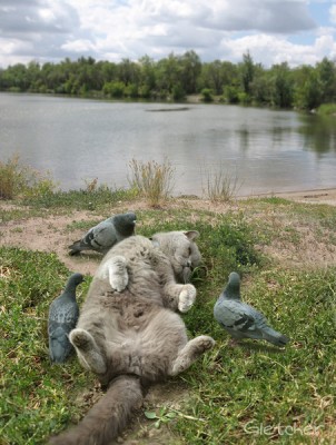 Они такие забавные смешные фото и видео  - 3.jpg