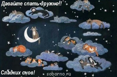 Доброе утро и Спокойной ночи  - коты.jpg