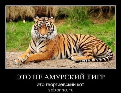 Умом Россию не понять, аршином общим не измерить... - image (1).jpg