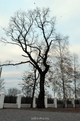 Фотоконкурс Осенняя пора, очей очарованье Только фото  - 1_500x752.jpg