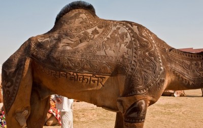 Рога и копыта, весёлая ЗоОфЛуДиЛьНя  - GRDUKaJLV-Y.jpg