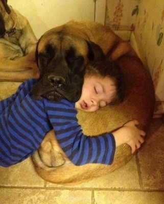 Добрые картинки - image.jpg