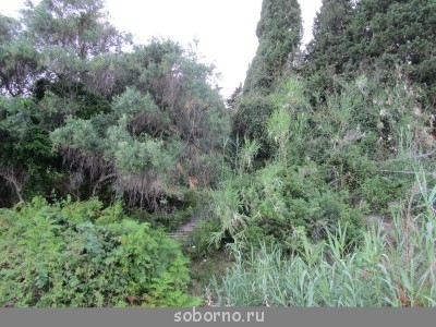 Корфу, Бари и материковая Греция. Записки упрямого ослика - тропа к пляжу.jpg