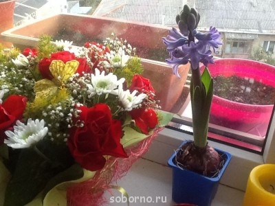 Доброе утро и Спокойной ночи  - image.jpg