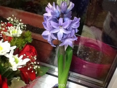 Доброе утро и Спокойной ночи  - image.jpg