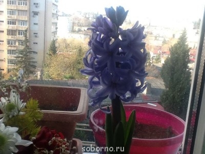 Доброе утро и Спокойной ночи  - image.jpg